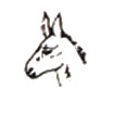 Donkey