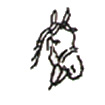 Horse Face