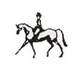 Dressage Horse