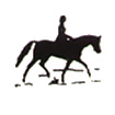 Horse Hack