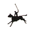 Polo Horse