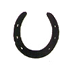 Show Horse