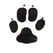 Paw