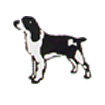 Pointer