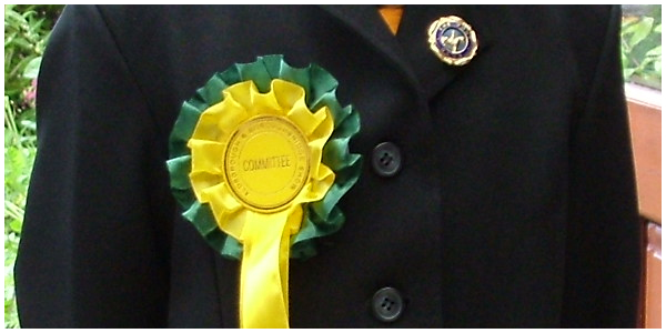 Committee Badges