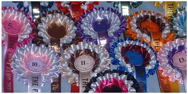 Pony Club 75th