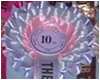 Pony Club 75th