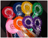 Rosette Set with Spotty ribbon