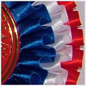 Elizabethan pleat uses a fuller BOX pleat