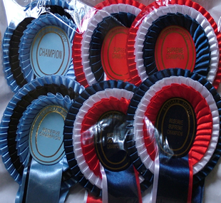 Dog Show Rosettes