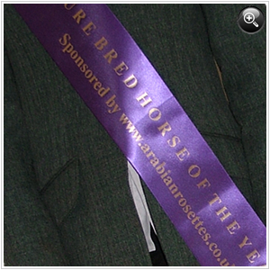 Click for a closer view of this sample sash